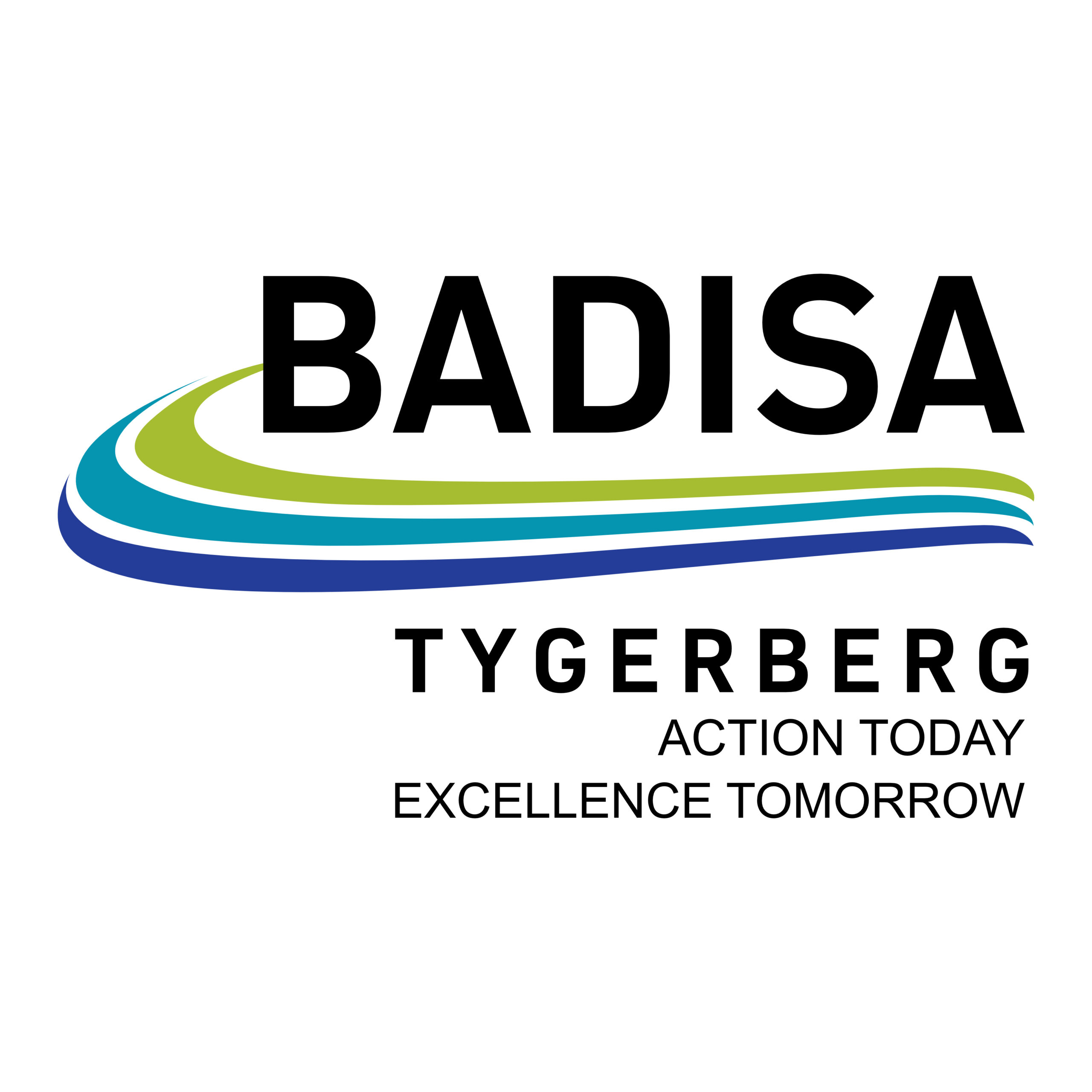 Badisa Logo